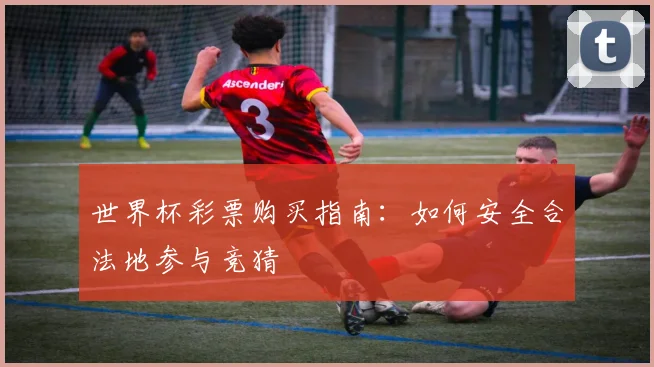 世界杯彩票购买指南：如何安全合法地参与竞猜