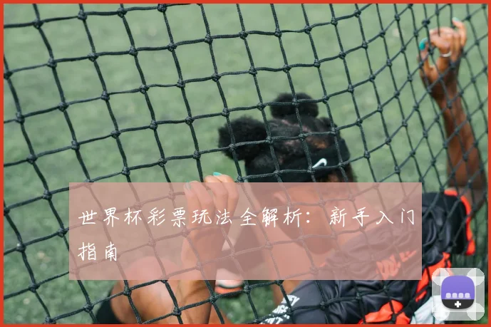 世界杯彩票玩法全解析：新手入门指南