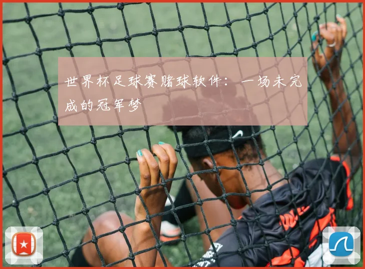 世界杯足球赛赌球软件：一场未完成的冠军梦