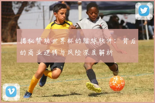 揭秘赞助世界杯的赌球软件：背后的商业逻辑与风险深度解析