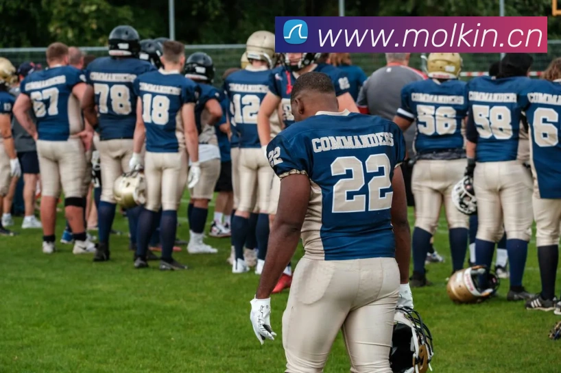 爱游戏ayx体育登录品牌故事