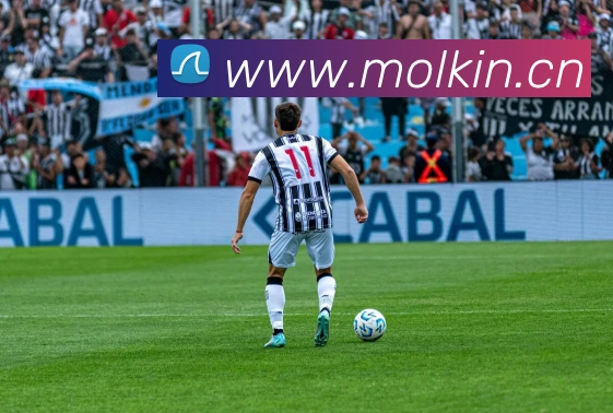 爱游戏ayx体育登录服务体系